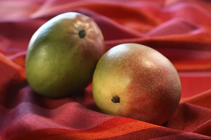 Gerahmter Druck : Mangoes Gerahmter Druck : Mangoes