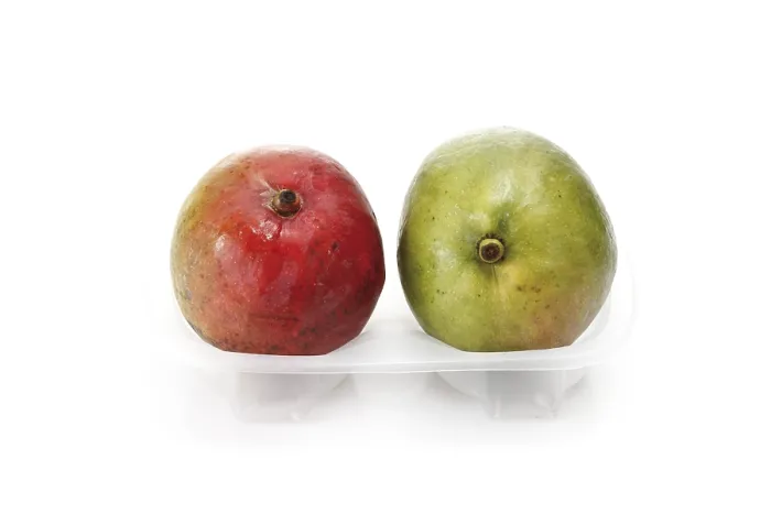 Gerahmter Druck : Zwei Mangos in einem Plastikbeutel. Gerahmter Druck : Zwei Mangos in einem Plastikbeutel.