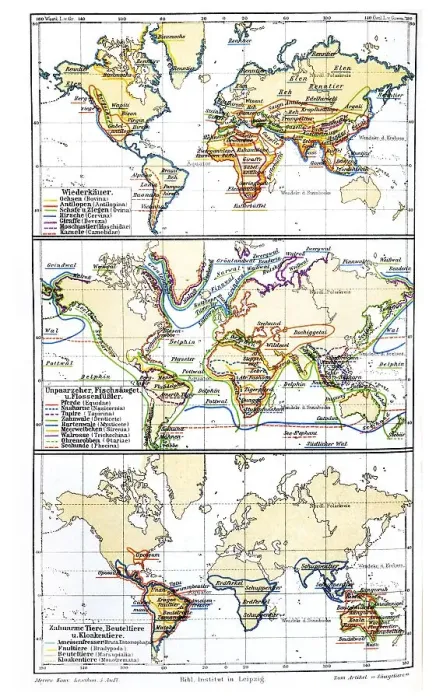 Gerahmter Druck : Karte, Vorkommen von Säugetieren, historische Bildung Gerahmter Druck : Karte, Vorkommen von Säugetieren, historische Bildung