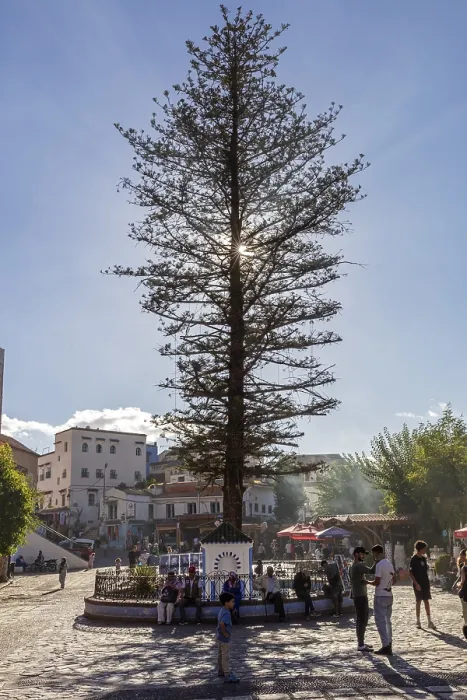 Gerahmter Druck : MAR, Chefchaouen Gerahmter Druck : MAR, Chefchaouen