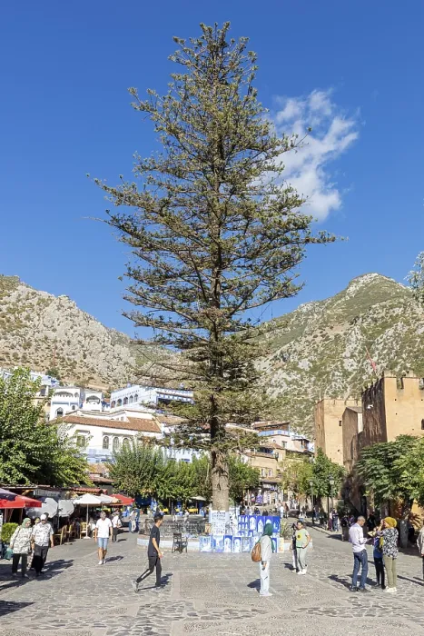 Gerahmter Druck : MAR, Chefchaouen Gerahmter Druck : MAR, Chefchaouen