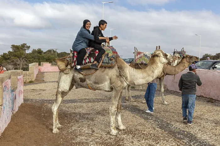Gerahmter Druck : MAR, Essaouira Gerahmter Druck : MAR, Essaouira