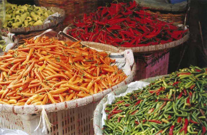 Gerahmter Druck : Marktchilischote Gerahmter Druck : Marktchilischote
