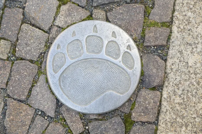 Gerahmter Druck : Fußgängerwegszeichen, Bärenklaue. Gerahmter Druck : Fußgängerwegszeichen, Bärenklaue.