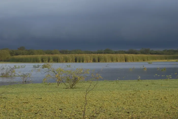 Gerahmter Druck : Vor einem Gewitter kurz vor dem Einsetzen. Gerahmter Druck : Vor einem Gewitter kurz vor dem Einsetzen.