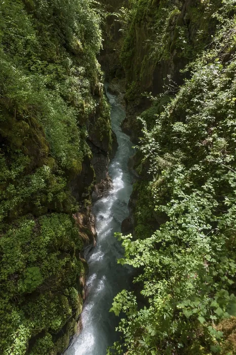 Gerahmter Druck : Marxenklamm im Zauberwald Gerahmter Druck : Marxenklamm im Zauberwald