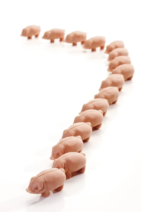 Gerahmter Druck : Marzipan Schweine Gerahmter Druck : Marzipan Schweine