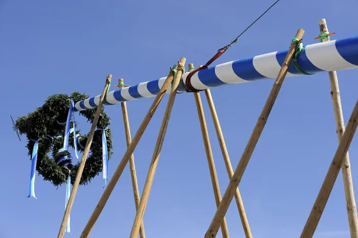 Gerahmter Druck : Maienbaum wird in Gelting aufgerichtet. Gerahmter Druck : Maienbaum wird in Gelting aufgerichtet.