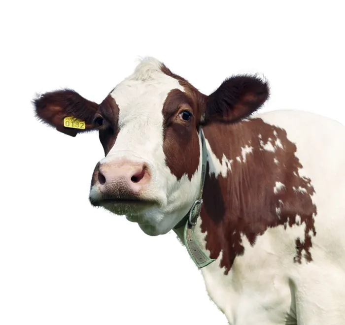 Gerahmter Druck : MCF9ZfqAmvE