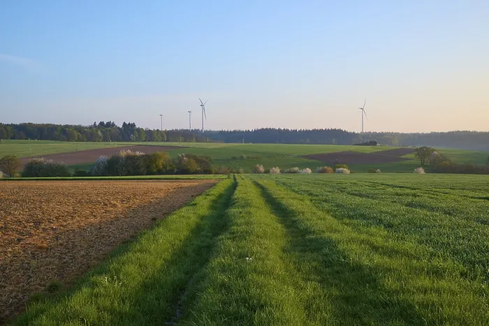 Gerahmter Druck : Weg durch das Wiesengelände, Feld, Getreidefeld. Gerahmter Druck : Weg durch das Wiesengelände, Feld, Getreidefeld.