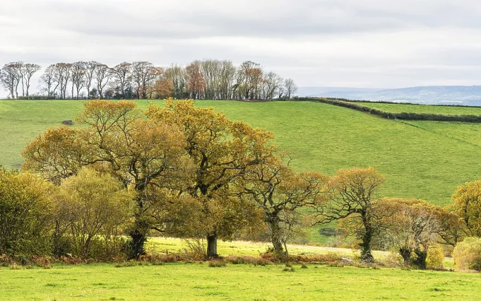 Gerahmter Druck : Wiesen und Felder über Devon in den Farben des Herbstes. Gerahmter Druck : Wiesen und Felder über Devon in den Farben des Herbstes.