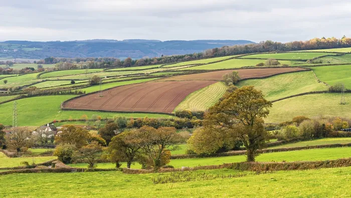 Gerahmter Druck : Wiesen und Felder über Devon in den Farben des Herbstes. Gerahmter Druck : Wiesen und Felder über Devon in den Farben des Herbstes.