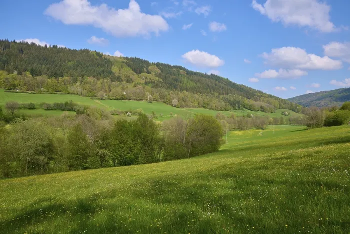 Gerahmter Druck : Wiesen, Waldlandschaft, Wolken. Gerahmter Druck : Wiesen, Waldlandschaft, Wolken.