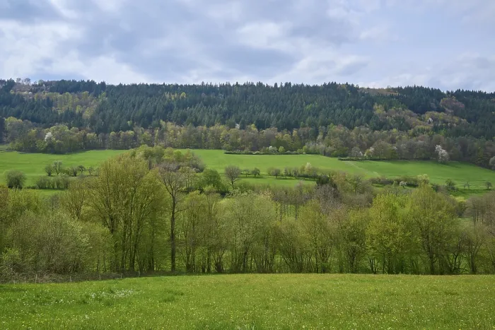 Gerahmter Druck : Wiesen, Waldlandschaft, Wolken. Gerahmter Druck : Wiesen, Waldlandschaft, Wolken.