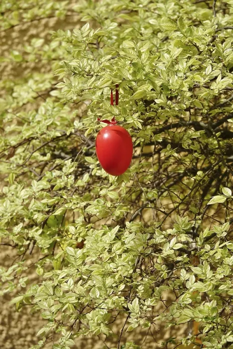 Gerahmter Druck : Stillleben mit Osterei im Garten an einem Baum.