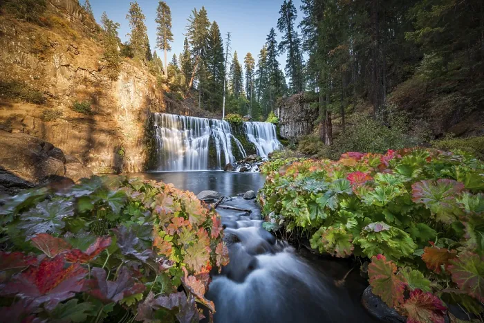 Gerahmter Druck : Mittelwasserfall, Fall-Wasserfall, McCloud-Fluss Gerahmter Druck : Mittelwasserfall, Fall-Wasserfall, McCloud-Fluss
