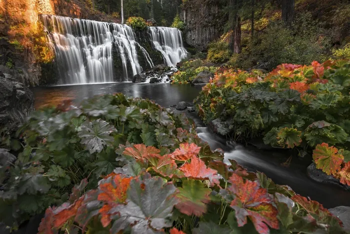 Gerahmter Druck : Mittlerer Wasserfall, Fall-Wasserfall, McCloud River Gerahmter Druck : Mittlerer Wasserfall, Fall-Wasserfall, McCloud River