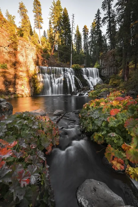 Gerahmter Druck : Mittlerer Wasserfall, Fall-Wasserfall, McCloud River Gerahmter Druck : Mittlerer Wasserfall, Fall-Wasserfall, McCloud River