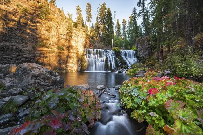 Gerahmter Druck : Middle Falls, Wasserfall Fall, McCloud River Gerahmter Druck : Middle Falls, Wasserfall Fall, McCloud River
