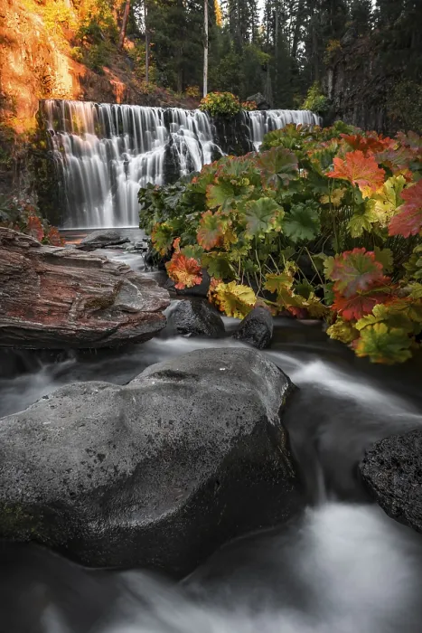 Gerahmter Druck : Mittlerer Wasserfall, Fall-Wasserfall, McCloud River Gerahmter Druck : Mittlerer Wasserfall, Fall-Wasserfall, McCloud River