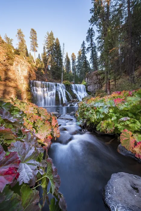 Gerahmter Druck : Mittlerer Wasserfall, Fall-Wasserfall, McCloud-Fluss Gerahmter Druck : Mittlerer Wasserfall, Fall-Wasserfall, McCloud-Fluss