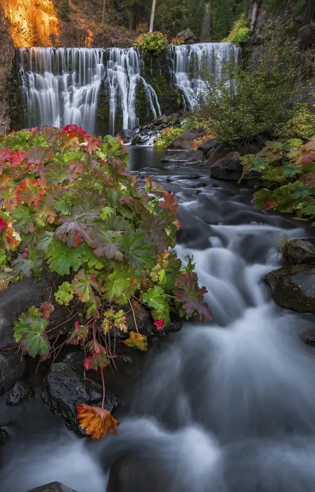 Gerahmter Druck : Mittelwasserfall, Wasserfall Fall, McCloud River