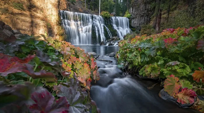 Gerahmter Druck : Mittlerer Wasserfall, Fall-Wasserfall, McCloud-Fluss Gerahmter Druck : Mittlerer Wasserfall, Fall-Wasserfall, McCloud-Fluss