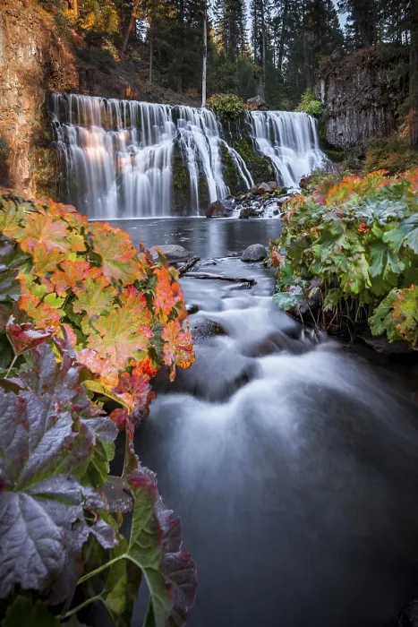 Gerahmter Druck : Mittelwasserfall, Wasserfall Fall, McCloud River