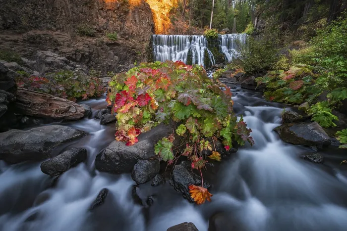 Gerahmter Druck : Mittelwasserfall, Wasserfall Fall, McCloud River