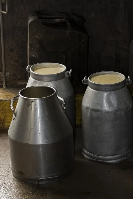 Gerahmter Druck : Milk-cans Gerahmter Druck : Milk-cans