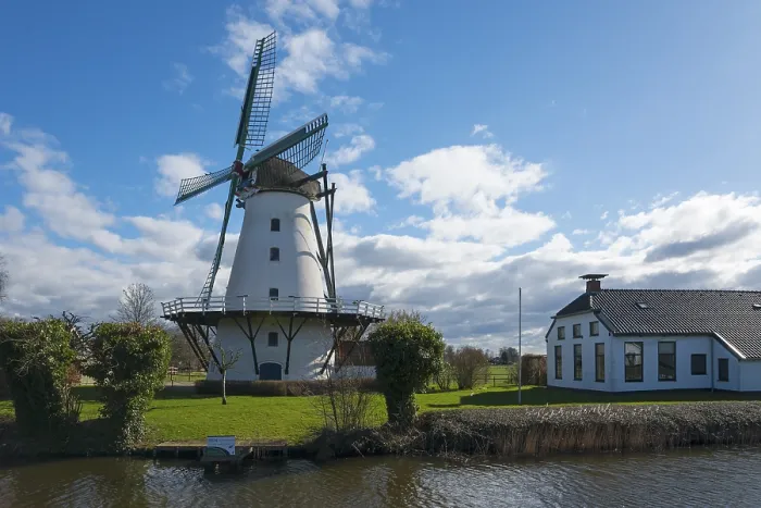 Gerahmter Druck : Mühle, Windmühle, De Widde Meuln Gerahmter Druck : Mühle, Windmühle, De Widde Meuln