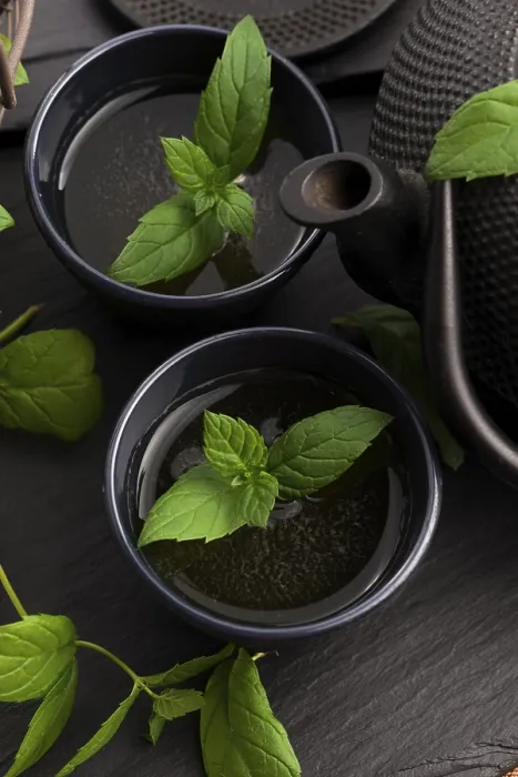 Gerahmter Druck : Mint-Tee. Ein Tropfen Süße in einem Glas - frischer Minztee, der die Seele beruhigt Gerahmter Druck : Mint-Tee. Ein Tropfen Süße in einem Glas - frischer Minztee, der die Seele beruhigt