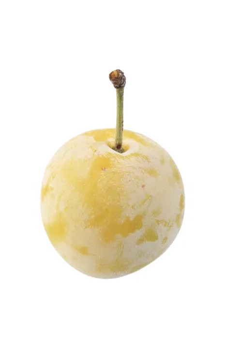 Gerahmter Druck : Mirabelle von Nancy Gerahmter Druck : Mirabelle von Nancy