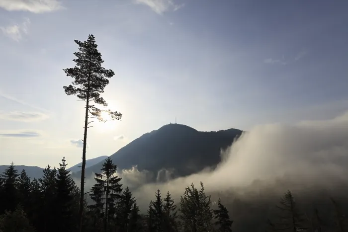 Gerahmter Druck : Mist am Semmeringpass, Niederösterreich Gerahmter Druck : Mist am Semmeringpass, Niederösterreich