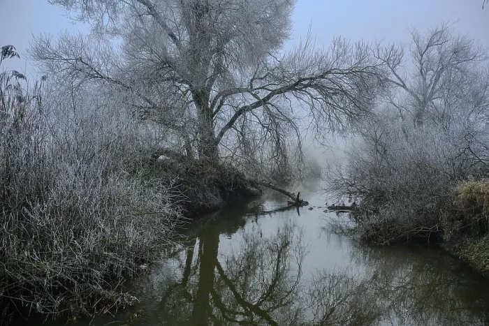 Gerahmter Druck : Dampfiger Fluss mit nackten Bäumen, die sich im stillen Wasser spiegeln. Gerahmter Druck : Dampfiger Fluss mit nackten Bäumen, die sich im stillen Wasser spiegeln.