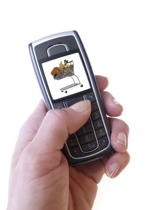 Gerahmter Druck : Mobile Einkauf Gerahmter Druck : Mobile Einkauf