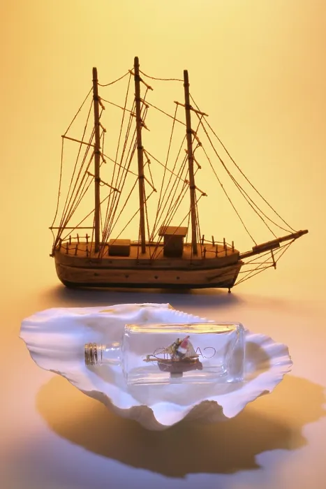 Gerahmter Druck : Modell eines Schiffs und Schiff in einer Flasche auf einem Muschelschalen. Gerahmter Druck : Modell eines Schiffs und Schiff in einer Flasche auf einem Muschelschalen.