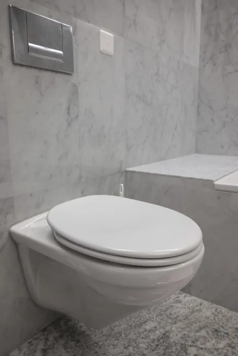 Gerahmter Druck : Modernes Badezimmer-WC Gerahmter Druck : Modernes Badezimmer-WC