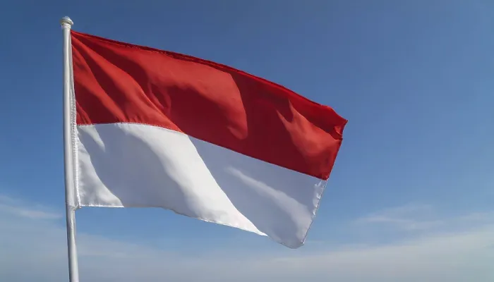 Gerahmter Druck : Die Flagge von Monaco flattert im Wind. Gerahmter Druck : Die Flagge von Monaco flattert im Wind.