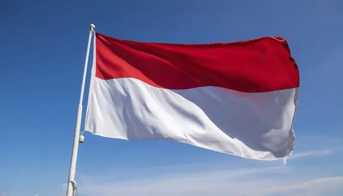 Gerahmter Druck : Die Flagge von Monaco flattert im Wind. Gerahmter Druck : Die Flagge von Monaco flattert im Wind.