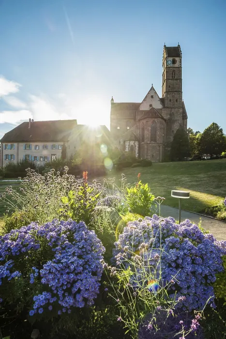 Gerahmter Druck : Kloster und Klosterkirche Gerahmter Druck : Kloster und Klosterkirche
