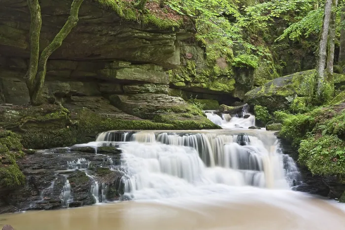 Gerahmter Druck : Monbachtal-Wasserfall, Schwarzwald-Gebirgszug. Gerahmter Druck : Monbachtal-Wasserfall, Schwarzwald-Gebirgszug.