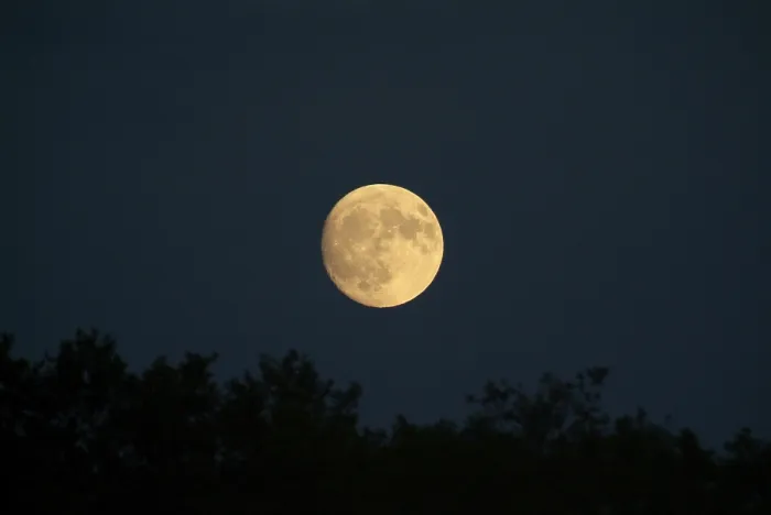 Gerahmter Druck : Moon