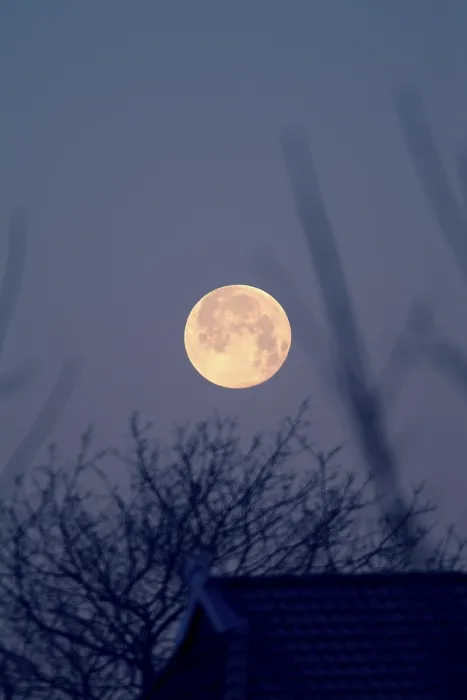 Gerahmter Druck : Vollmond Gerahmter Druck : Vollmond