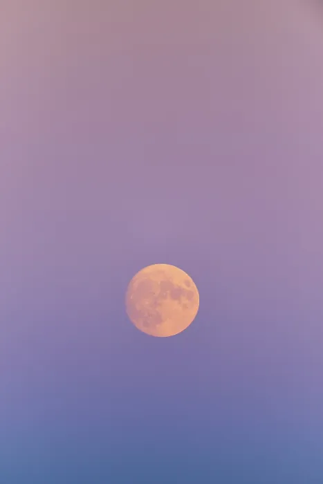 Gerahmter Druck : Vollmond, August, Sommer, Dämmerung Gerahmter Druck : Vollmond, August, Sommer, Dämmerung