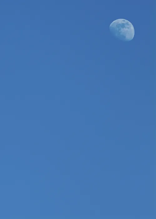 Gerahmter Druck : Mond im blauen Himmel Gerahmter Druck : Mond im blauen Himmel