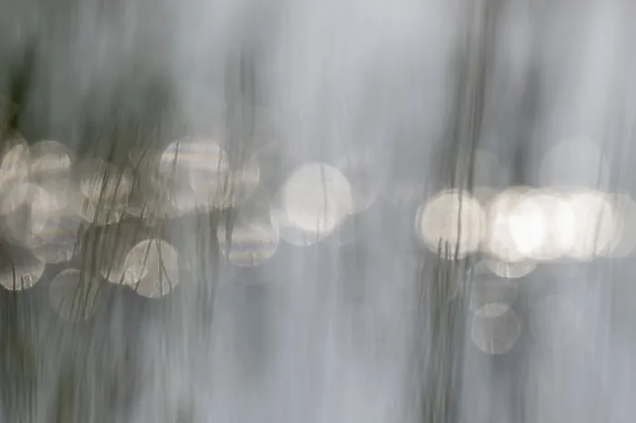 Gerahmter Druck : Am Morgen werden Lichter auf der Wasseroberfläche reflektiert. Gerahmter Druck : Am Morgen werden Lichter auf der Wasseroberfläche reflektiert.