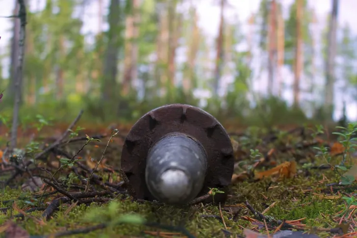 Gerahmter Druck : Granate im Wald gefunden. Gerahmter Druck : Granate im Wald gefunden.
