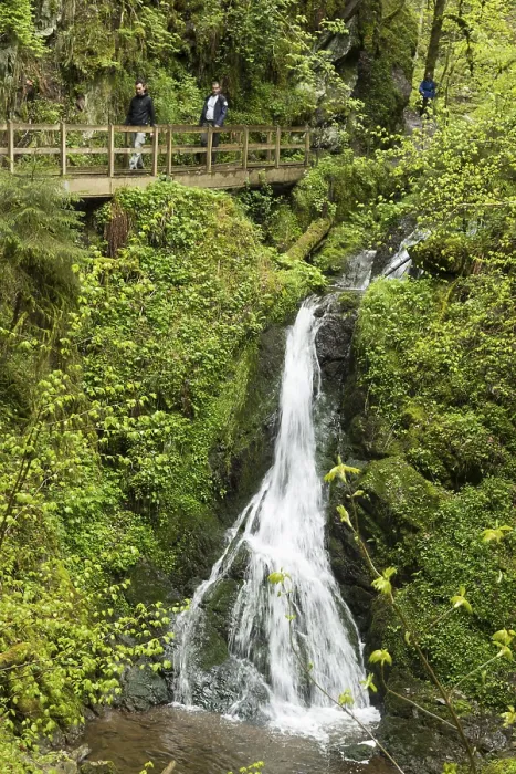 Gerahmter Druck : Moosbedeckte Felsen und Wasserfall Gerahmter Druck : Moosbedeckte Felsen und Wasserfall