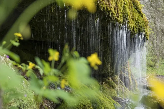 Gerahmter Druck : Moosbedeckte Felsen und Wasserfall Gerahmter Druck : Moosbedeckte Felsen und Wasserfall
